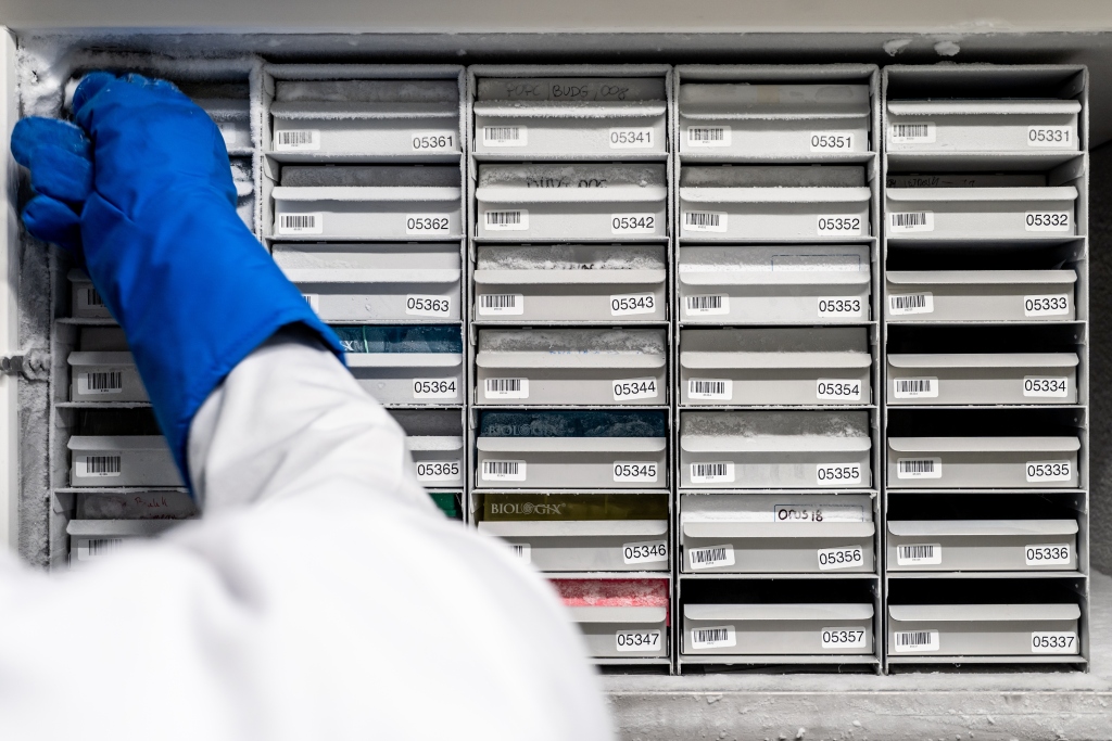 Biobankowanie materiału biologicznego