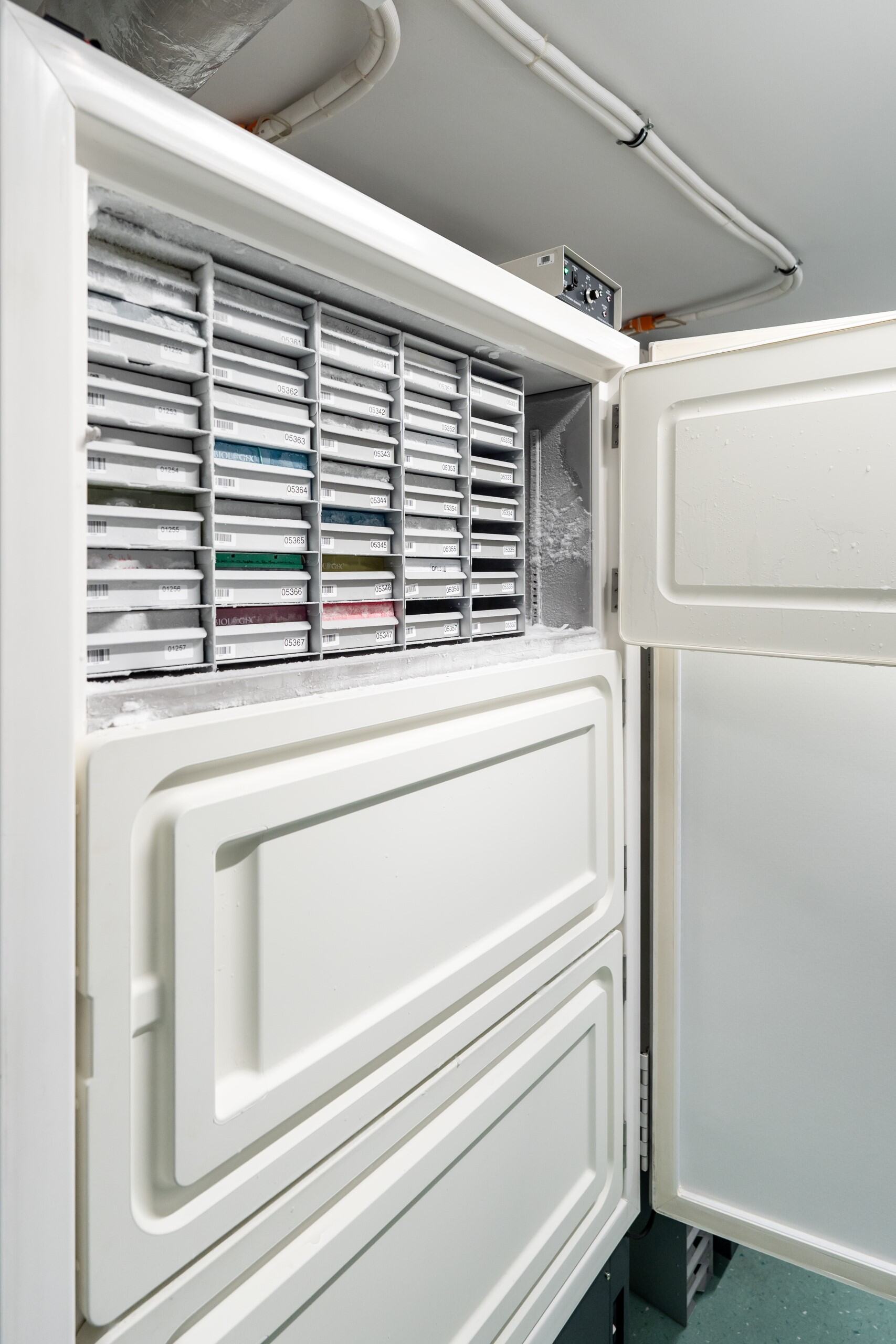 8ccce1b5-ecb1-413b-b65a-2ed4b4730b84.jp