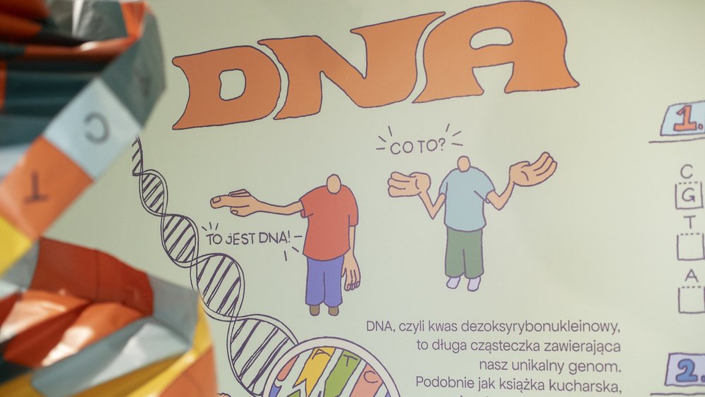 Ilustracja na ścianie przedstawiająca łańcuch DNA.