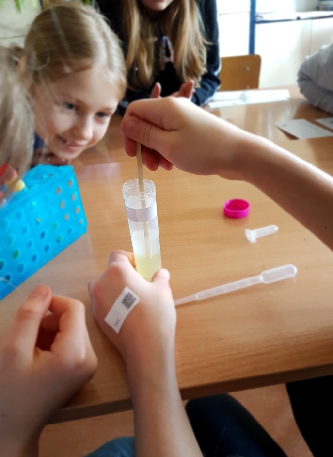 Dzieci oglądają wyizolowane DNA w probówce